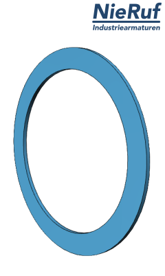 Flanschdichtung PN10 PN40 NieRuf