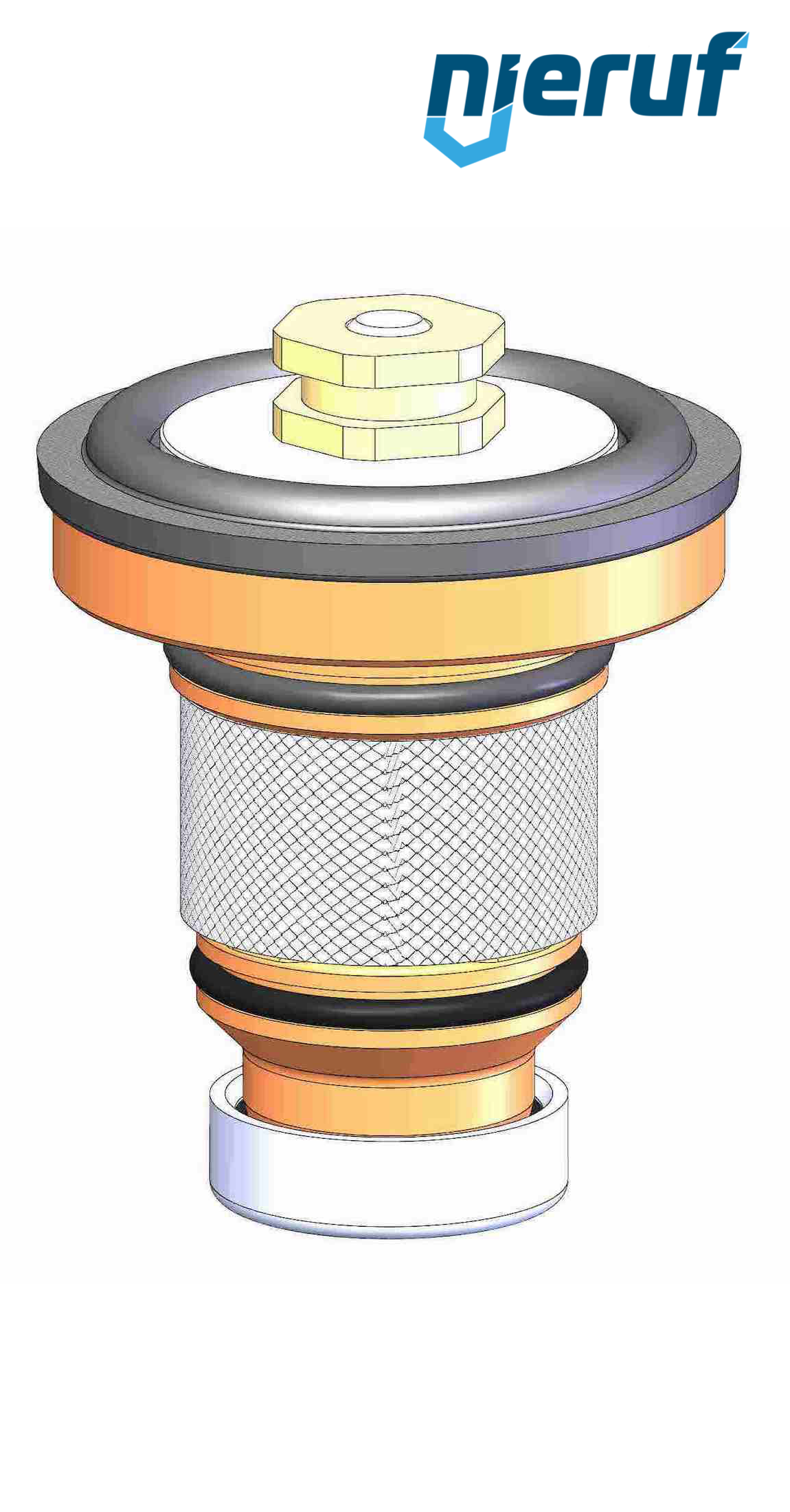 Einsatz FKM DM06 DN32 - 1 1/4" Zoll für Ausführung 1-8bar | 5-15bar